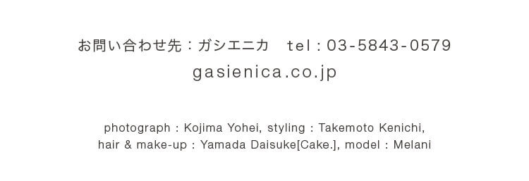 gasienica
