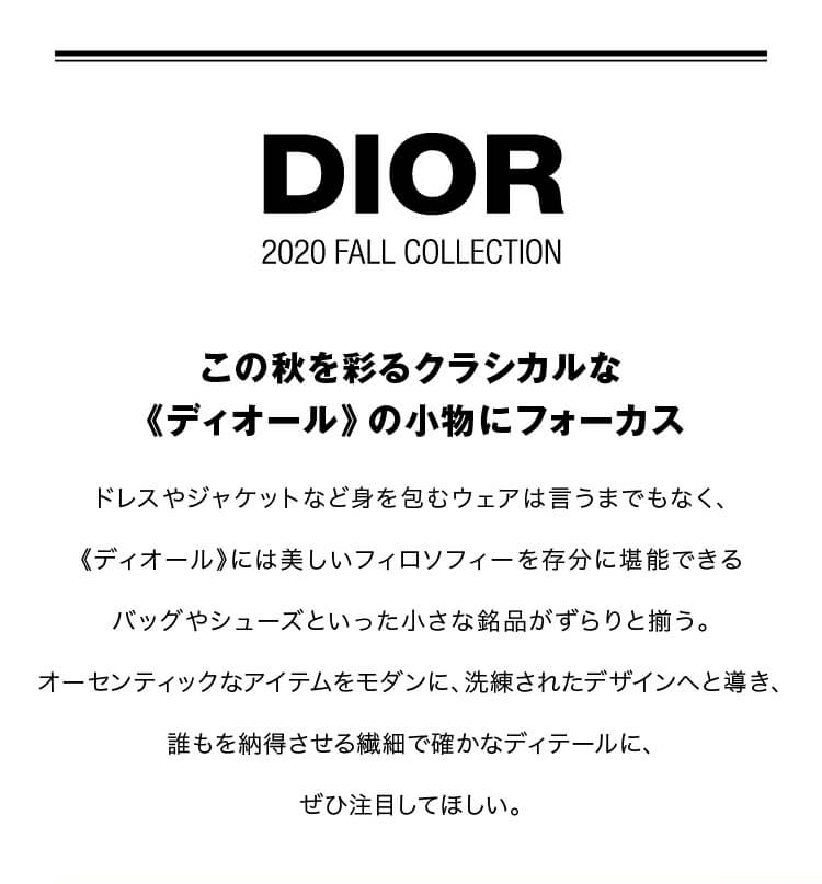 dior01
