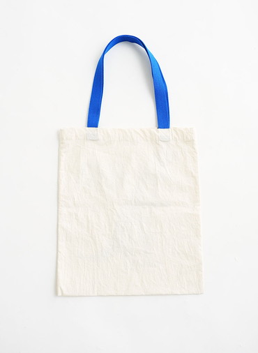 DINOSAUR TOTE 詳細画像 Blue 3
