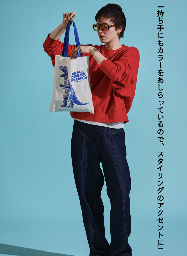 トートバッグ / DINOSAUR TOTE 詳細画像 Red 3