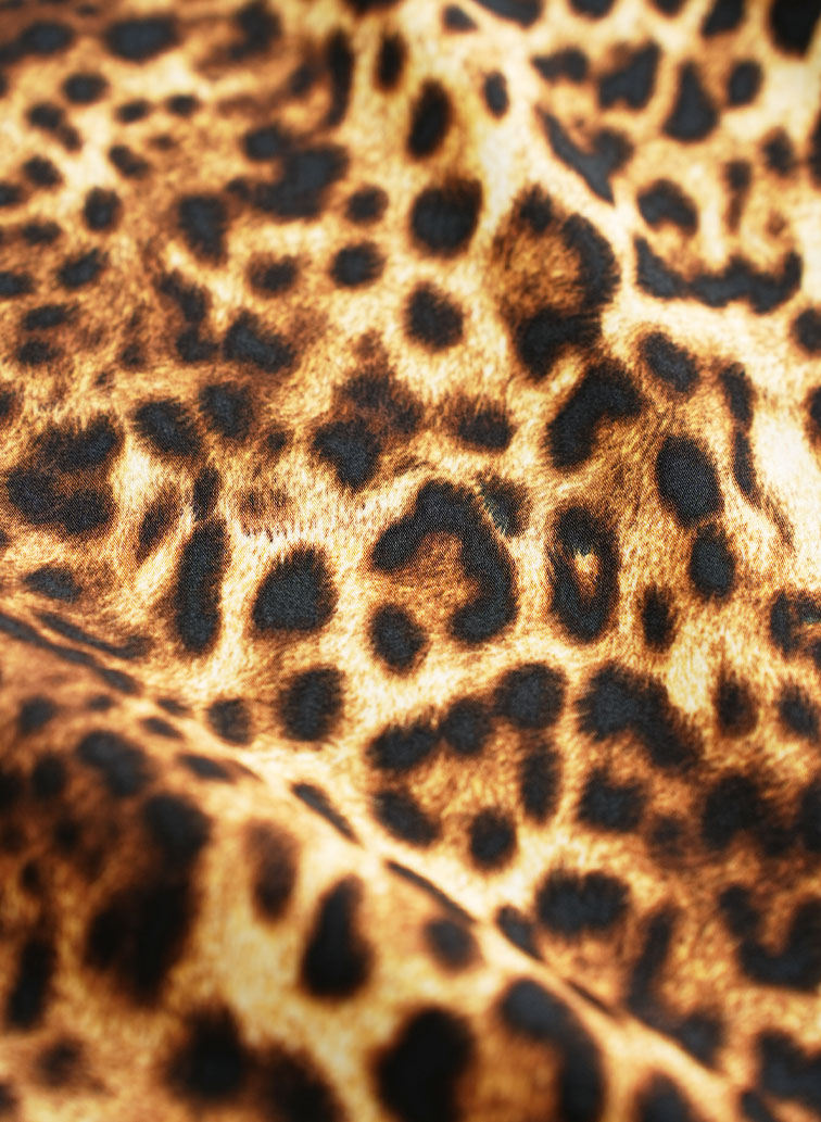 LEOPARD SKIRT 詳細画像 Brown 4