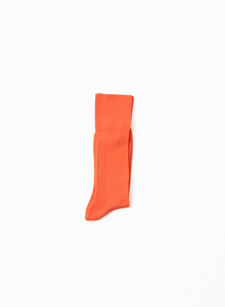 5COLOR RIB SOCKS 詳細画像 Red 1