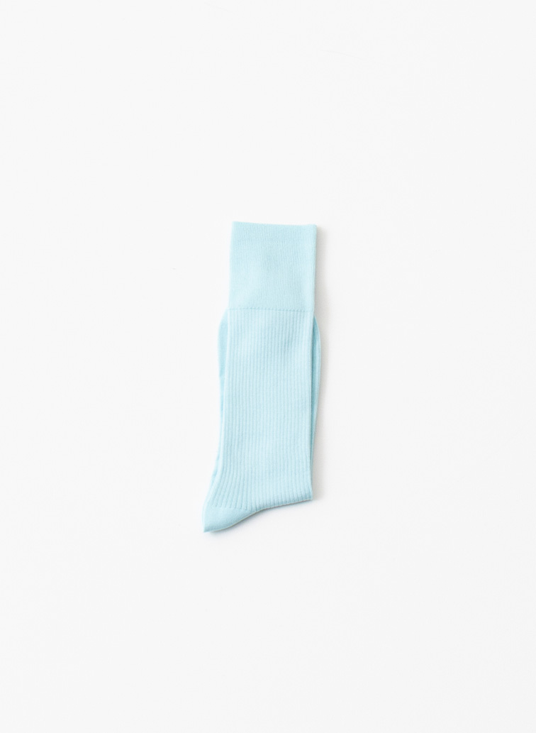 5COLOR RIB SOCKS 詳細画像 Saxe Blue 1