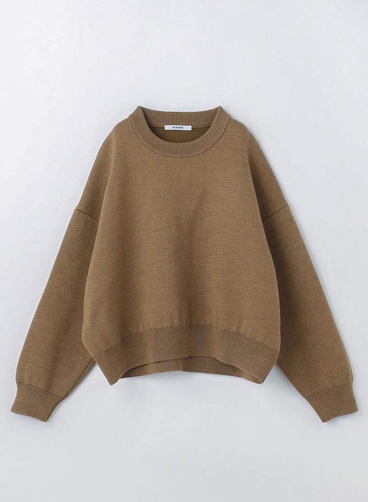 10Ｇ天竺 ダブルフェイスショート丈 クルーネック 詳細画像 Brown 1