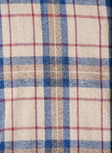 Ruffle Shirts  詳細画像 Indigo 5