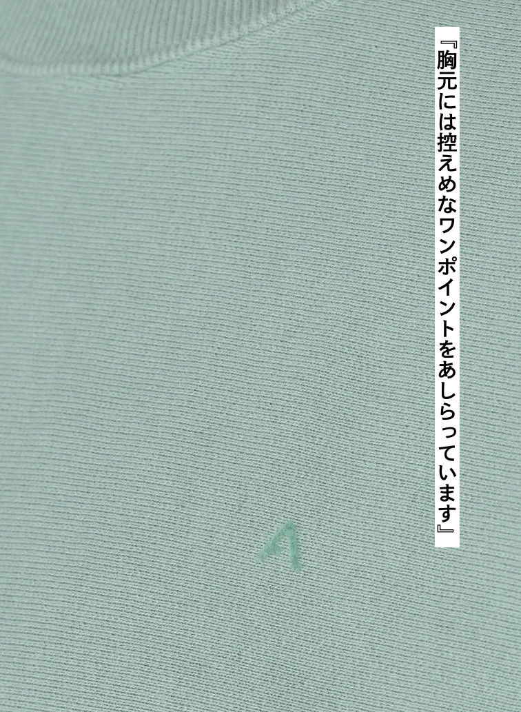 NATURAL DYED URAKE OVERSIZED SWEAT SHIRT 詳細画像 Green 8