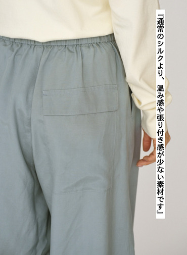 SILK SUEDE WIDE EASY PANTS 詳細画像 Saxe Blue 9