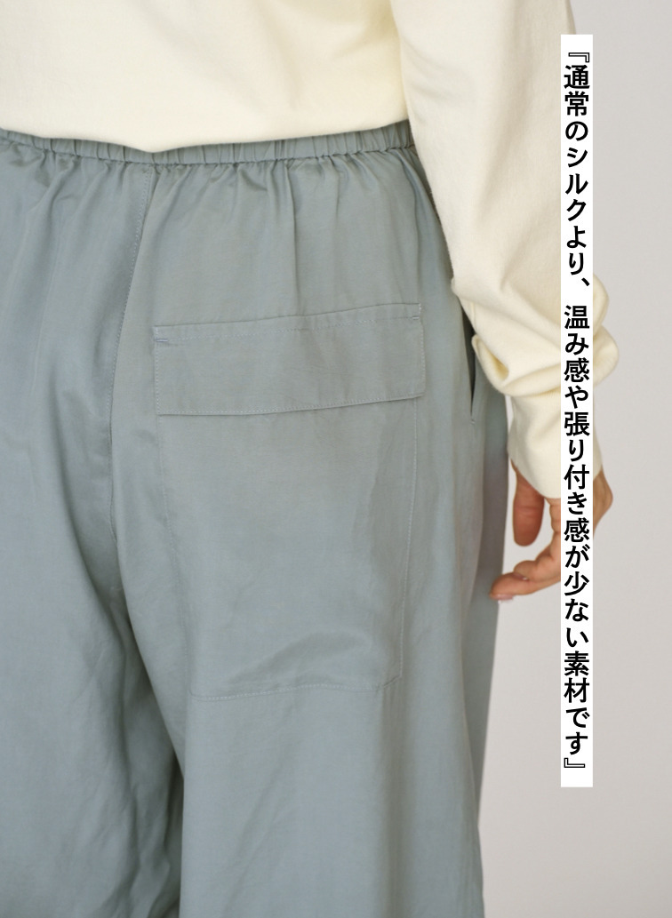 SILK SUEDE WIDE EASY PANTS 詳細画像 Saxe Blue 9
