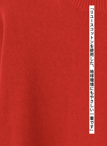 オーガニックコットン クルーネックニット 詳細画像 Red 9