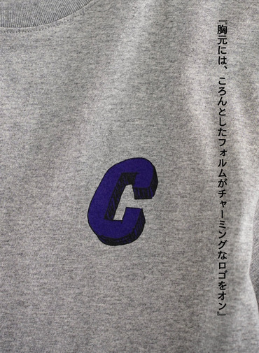 TWW TEE EX.CLUEL 詳細画像 Gray 9