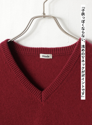 【別注】Vネックニット / FILL VNECK KNIT 詳細画像 Wine Red 8