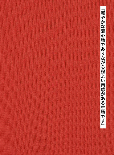 ニットプルオーバー / MIREILLE 詳細画像 Orange 4