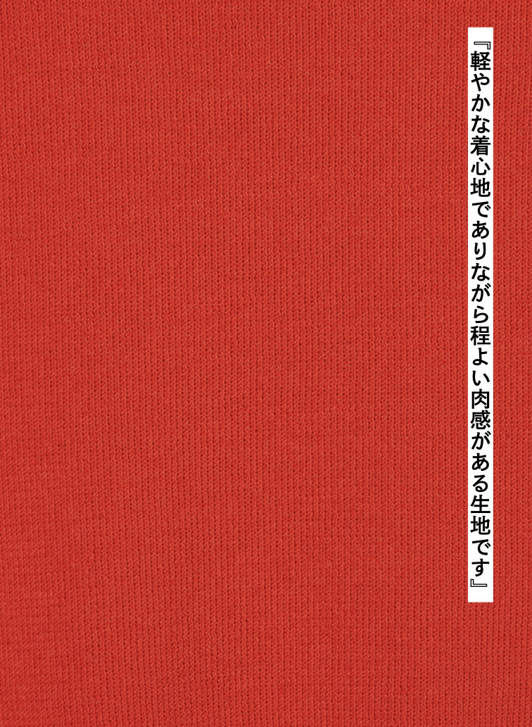 ニットプルオーバー / MIREILLE 詳細画像 Orange 4