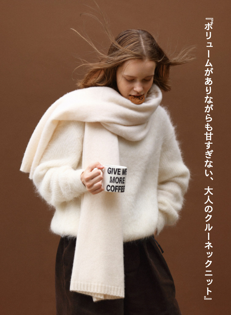アルパカ&times;ナイロン クルーネックニット 詳細画像 Off White 1