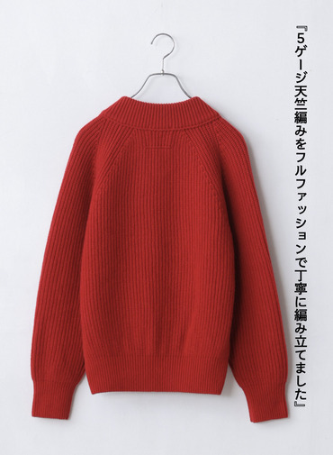 ラムズウールVネックプルオーバー 詳細画像 Red 6