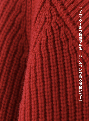 ラムズウールVネックプルオーバー 詳細画像 Red 8