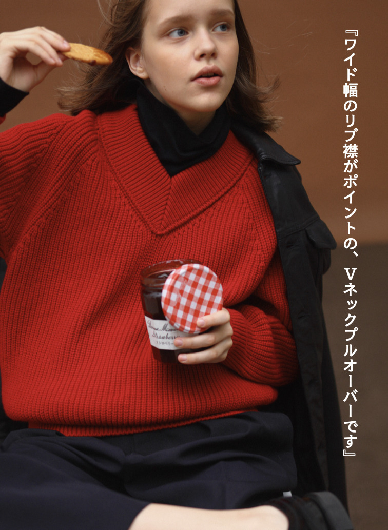 ラムズウールVネックプルオーバー 詳細画像 Red 1