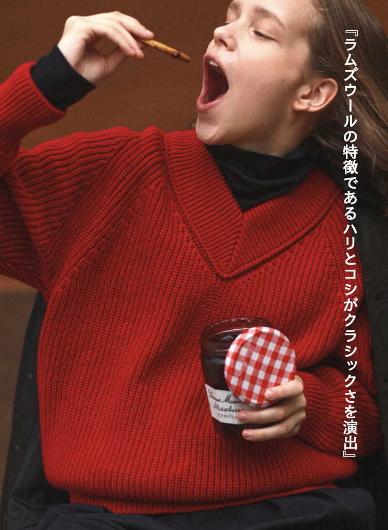 ラムズウールVネックプルオーバー 詳細画像 Red 4