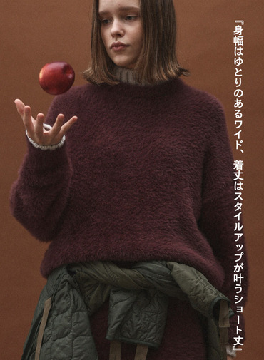 シャギーショート丈クルーネック 詳細画像 Wine Red 3