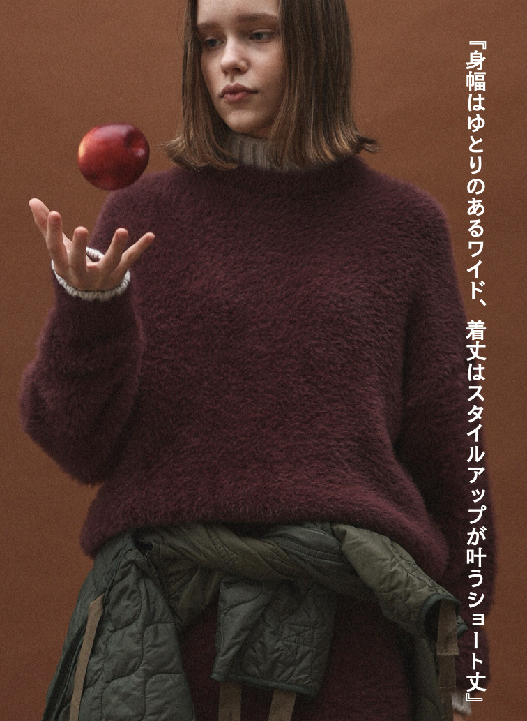 シャギーショート丈クルーネック 詳細画像 Wine Red 3