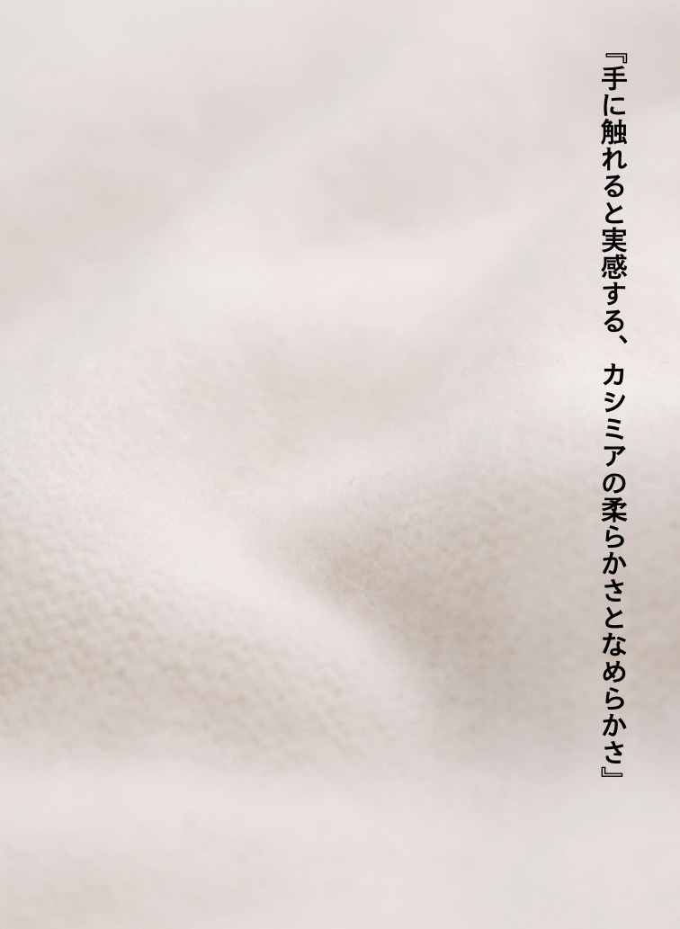 カシミヤストール 詳細画像 Off White 6
