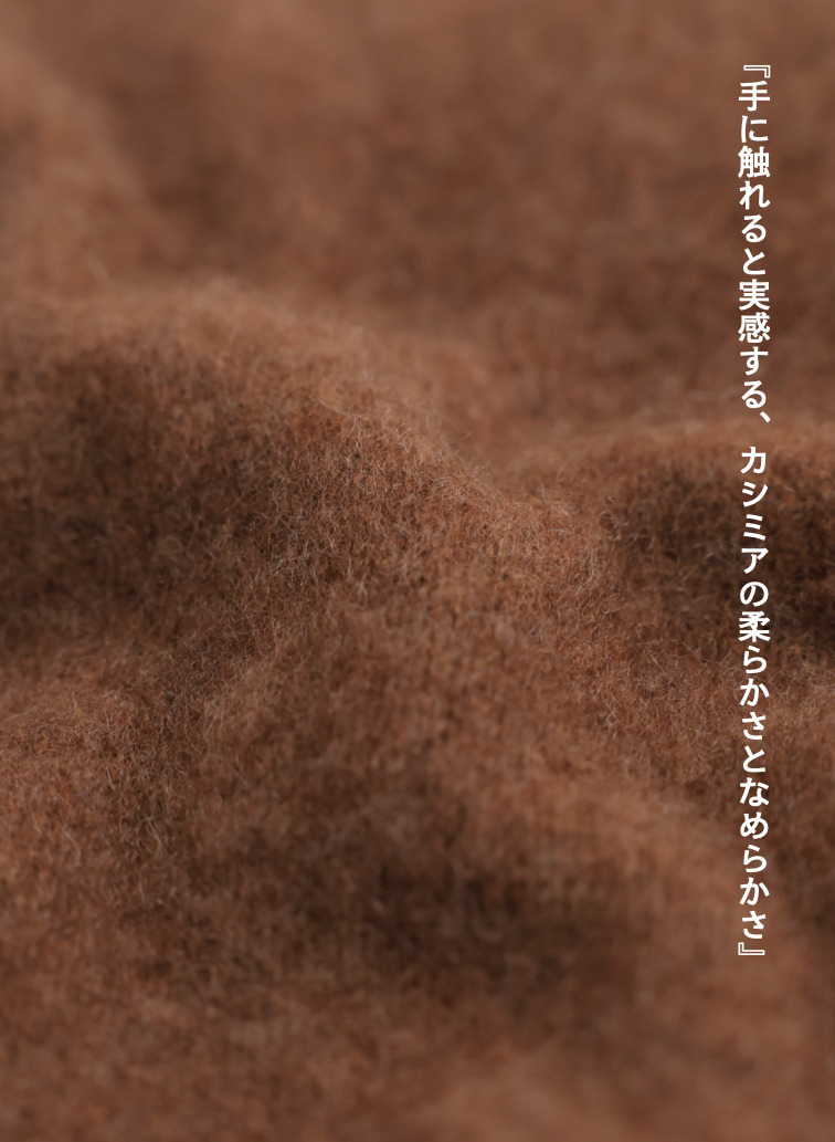 カシミヤストール 詳細画像 Brown 3