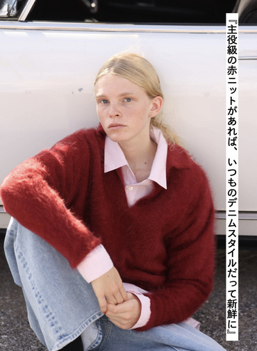 スキッパーポロ / ROYAL CASHMERE FUR SKIPPER POLO 詳細画像 Red 1