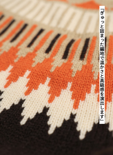 フェアアイル柄ニット / EXTRA FINE LAMB FAIR ISLE SWEATER 詳細画像 Brown 7